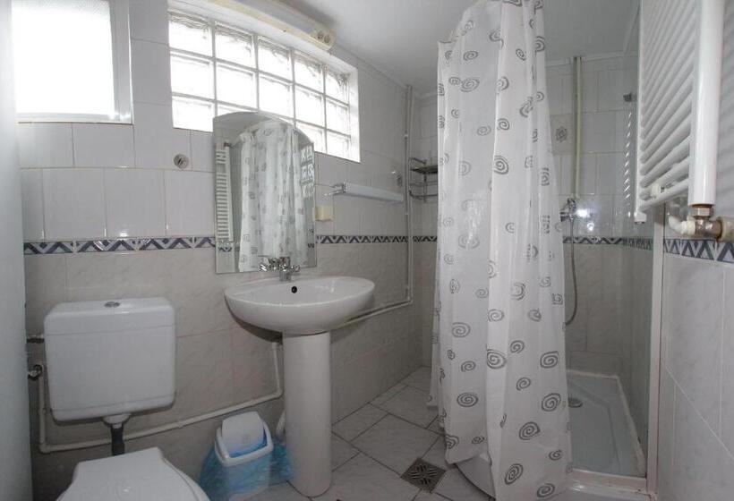 Отель Cazare Casa Cristina