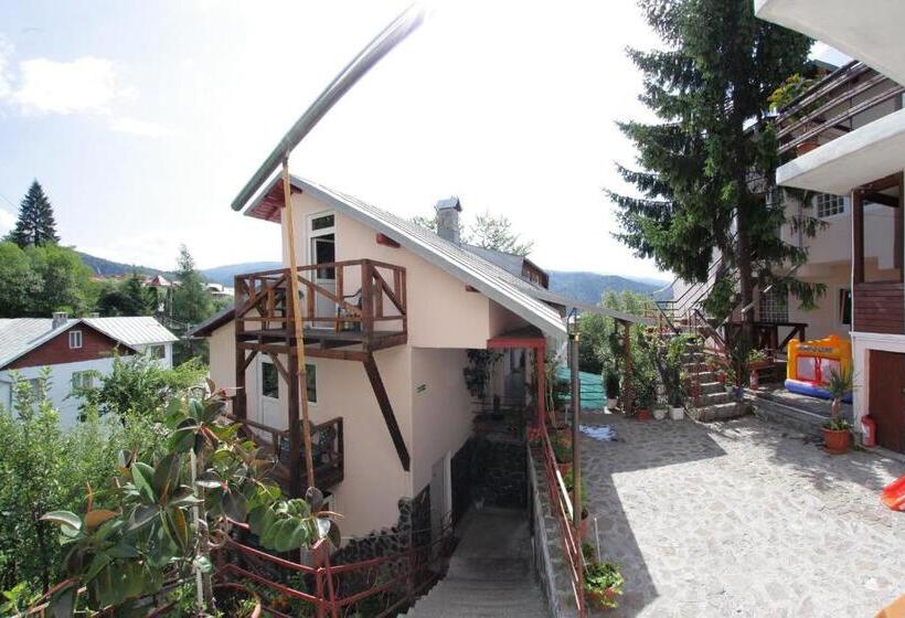 Отель Cazare Casa Cristina