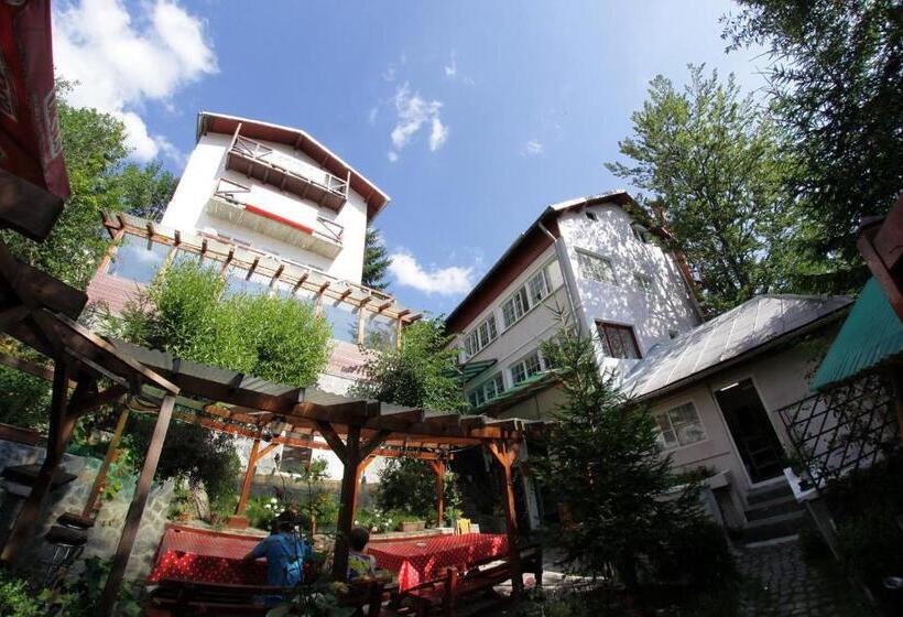 Отель Cazare Casa Cristina