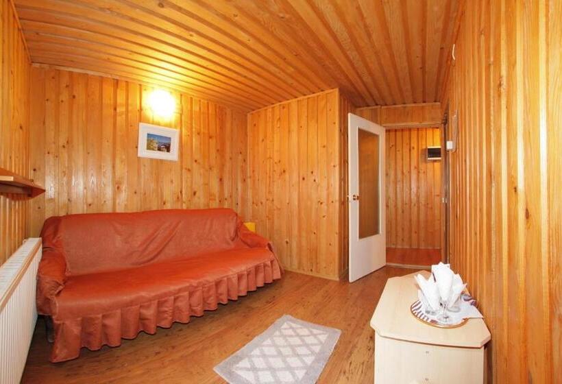 Отель Cazare Casa Cristina