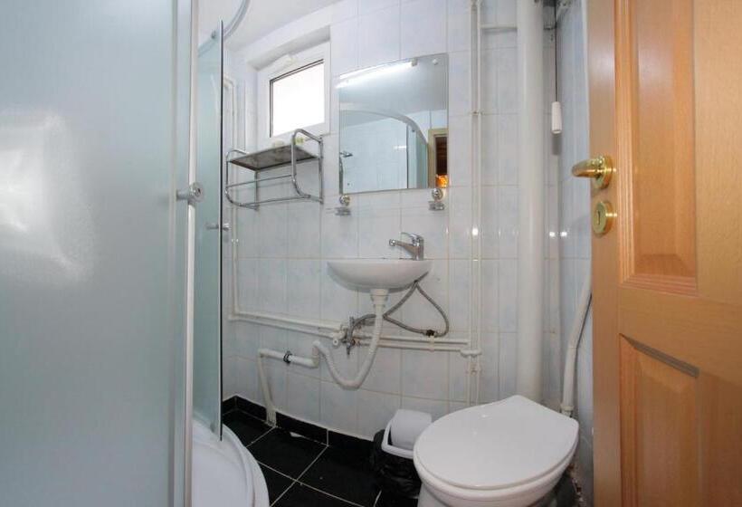 Отель Cazare Casa Cristina