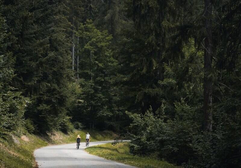 هتل Valaisia Crans Montana