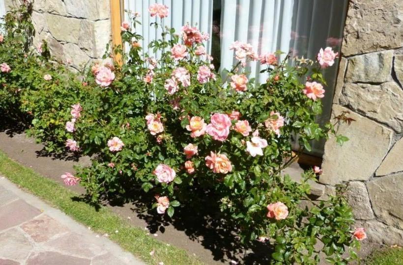 Hotel Hosteria Monteverde By Visionnaire