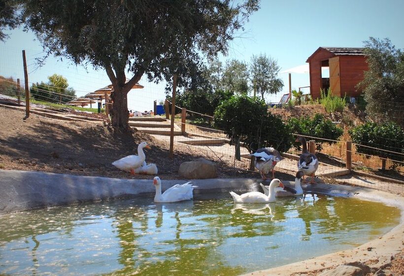 فندق O Gato & Spa