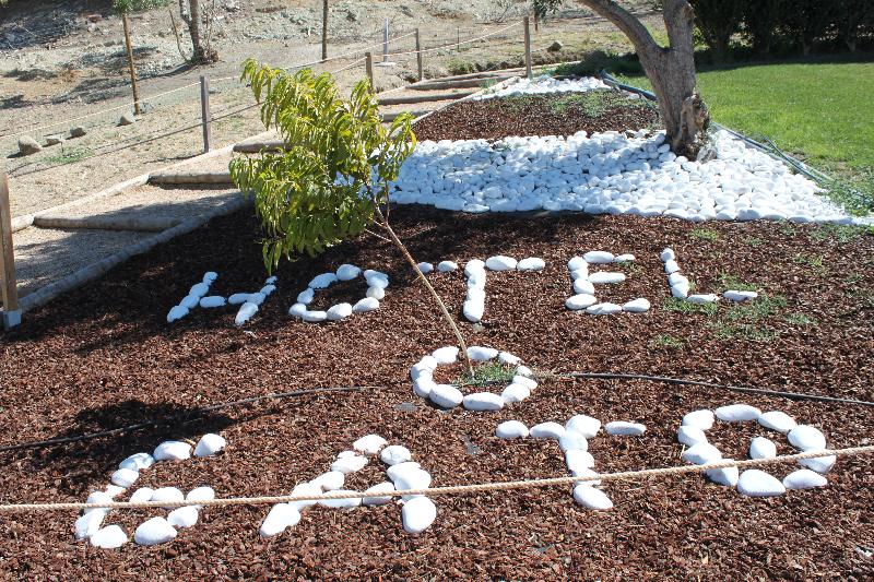 فندق O Gato & Spa