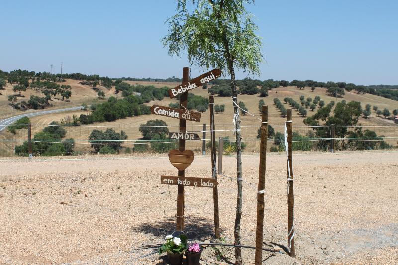 فندق O Gato & Spa