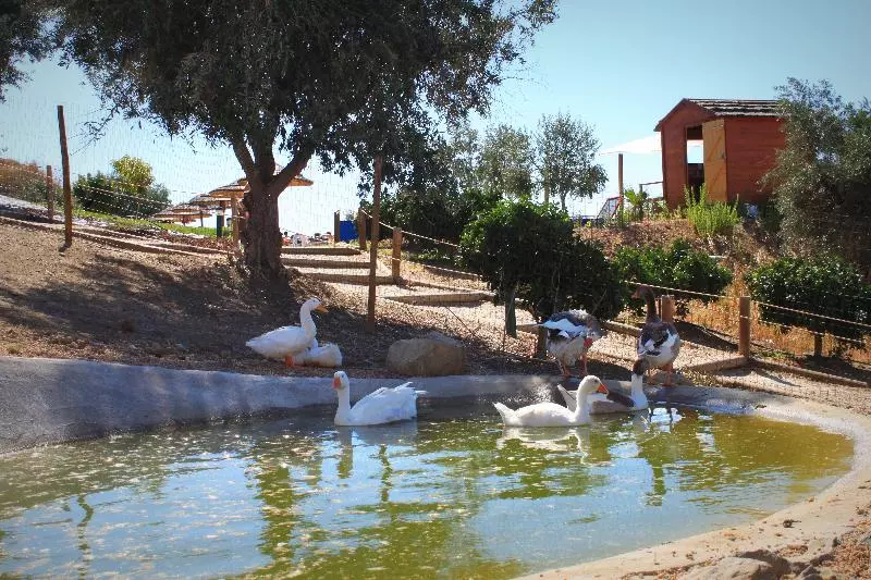 Отель O Gato & Spa