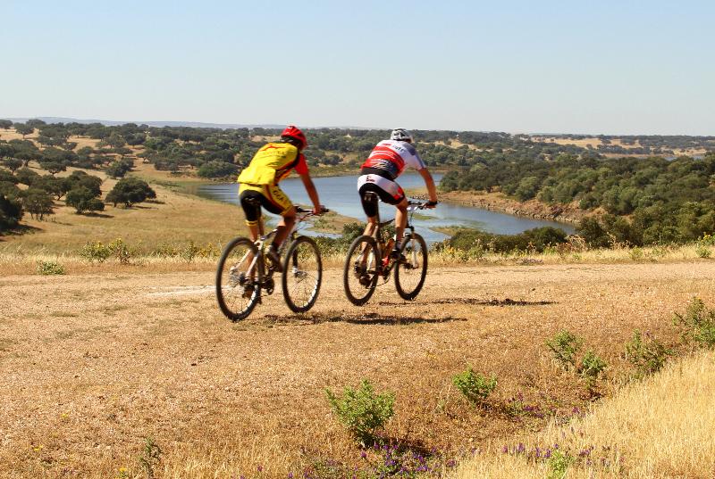 فندق O Gato & Spa