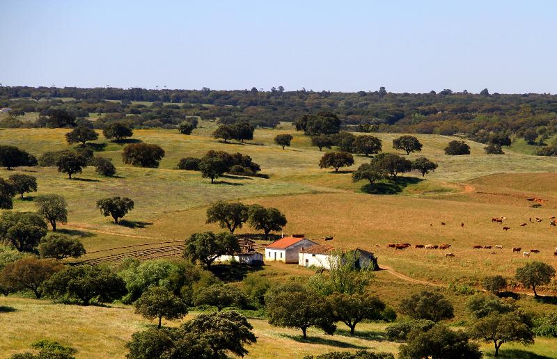 فندق O Gato & Spa