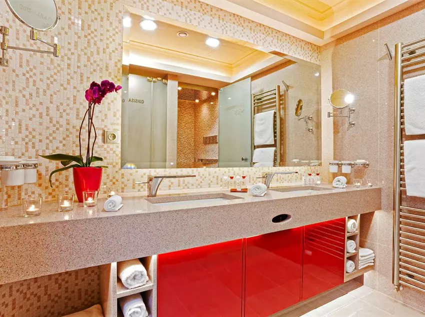 酒店 Quisisana Palace