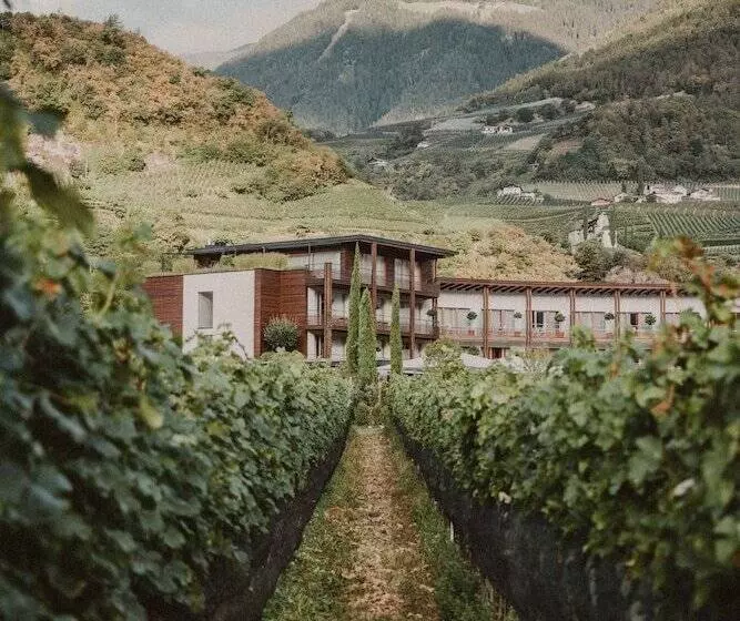 فندق Schwarzschmied