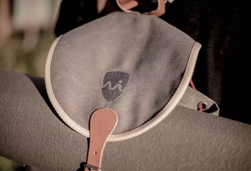 فندق Schwarzschmied