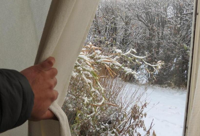 ユースホステル Aonikenk B&b