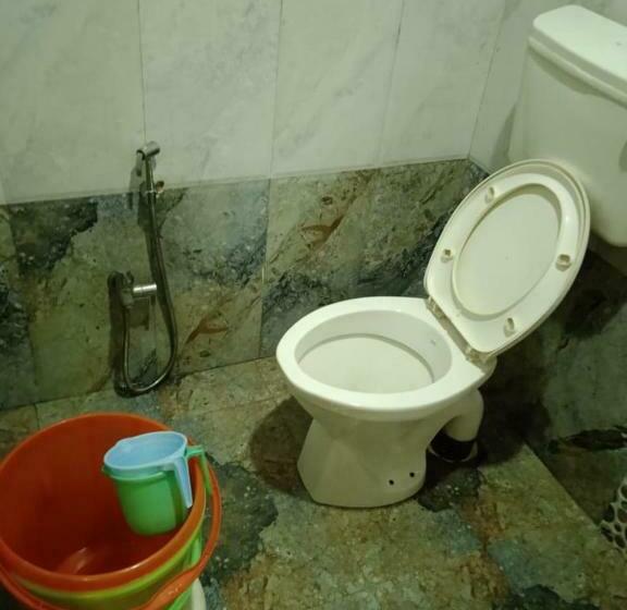 Hotel Hariyalee Silver Inn