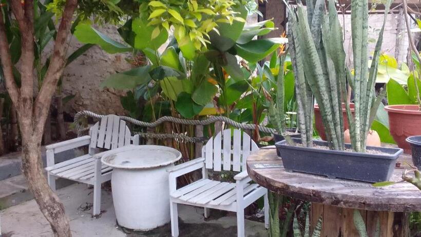 هاستل Js House View