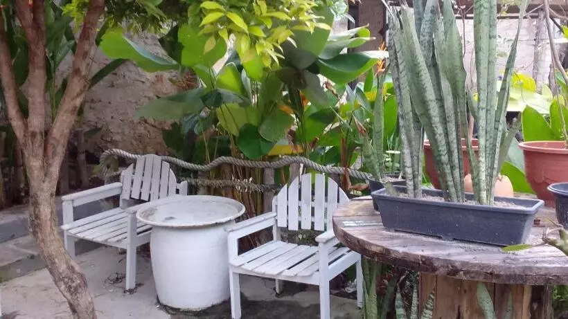 Hostel Js House View