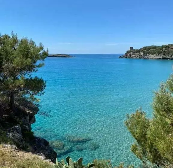Aamiaismajoitus (B&B) Cilento Room