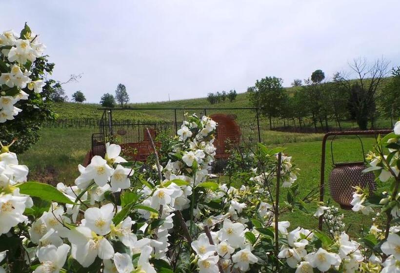 Nocleg ze śniadaniem Sotto La Vigna Charm Stay Adults Only Vacation Suite Appartment