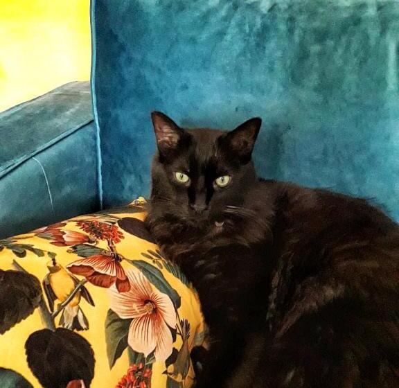 פנסיון La Dolce Vita   Chambre Cristoforo Colombo