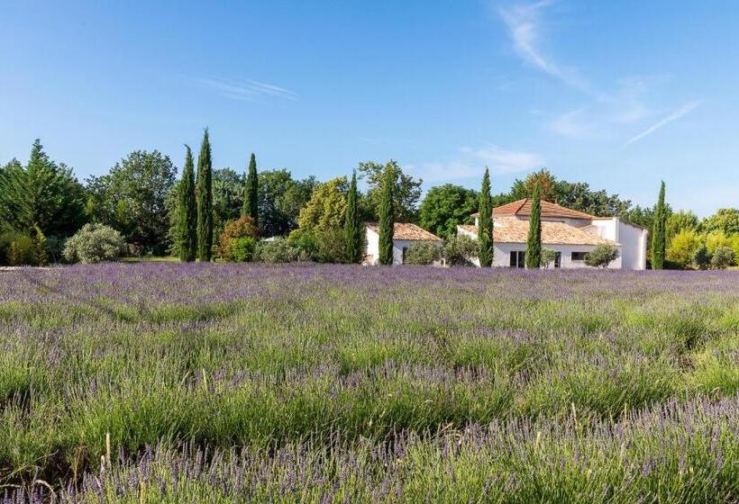 پانسیون Bastide De Damien