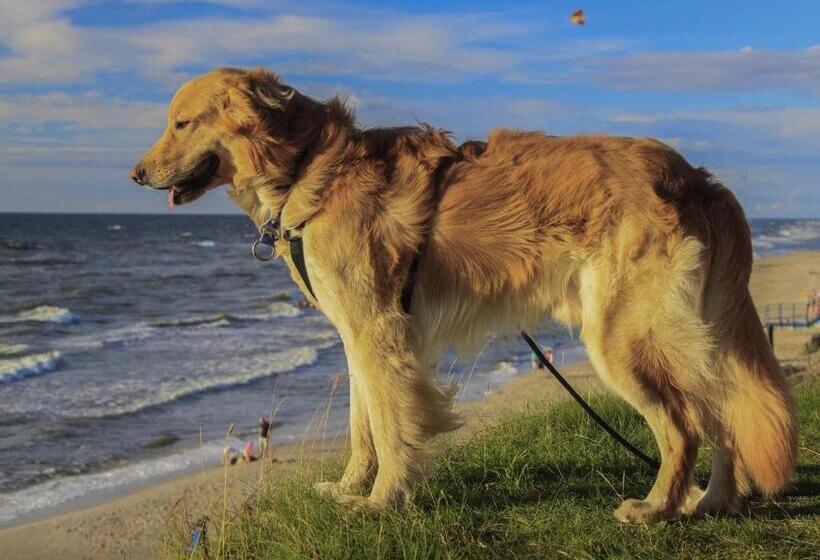 בית מלון כפרי Columbus
