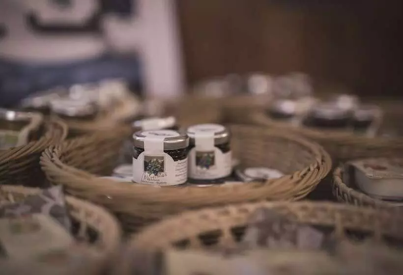 酒店 Emma Historic