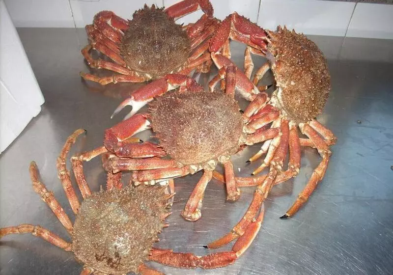 Hotelli Ristorante Ai Campi Di Marcello