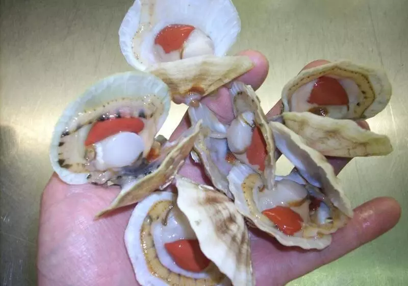 Hotelli Ristorante Ai Campi Di Marcello
