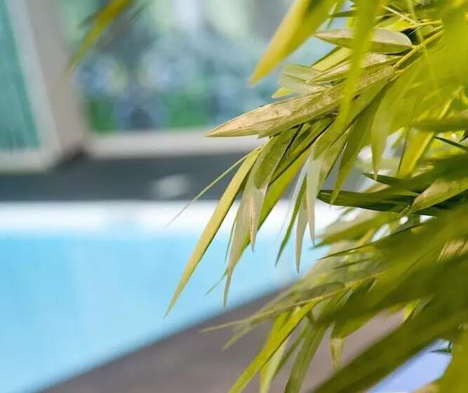 Sowell Hotels Mont Blanc Et Spa