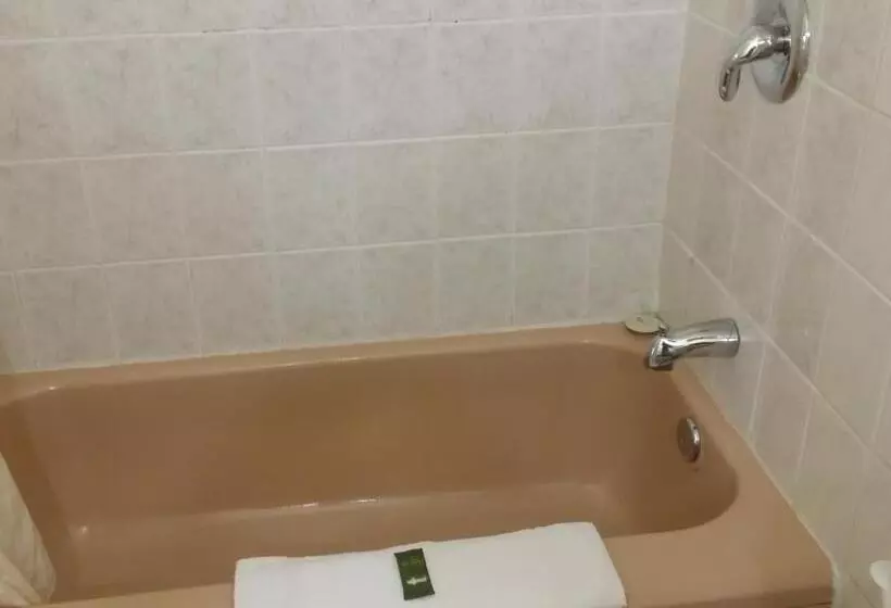 Motelli River Mist Inn