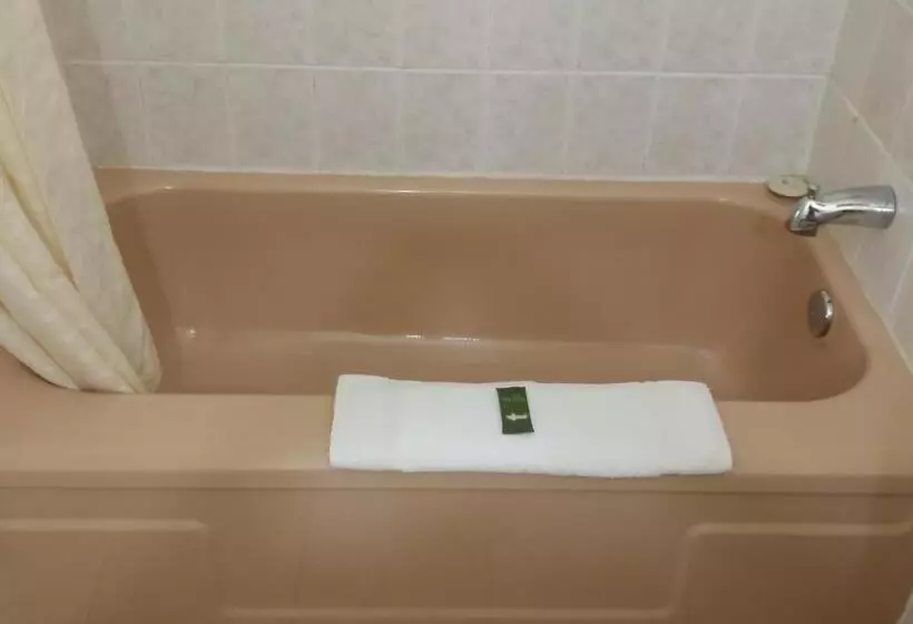 Motelli River Mist Inn