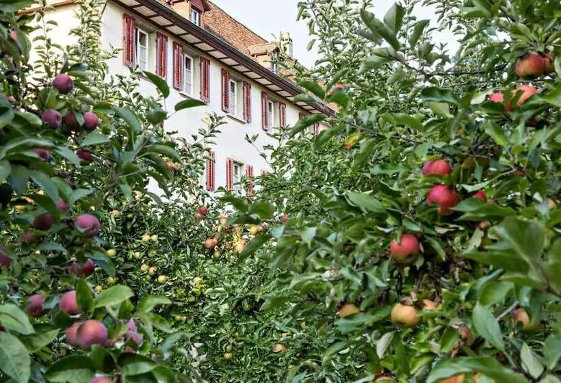 레지던스 Kloster Dornach / Basel