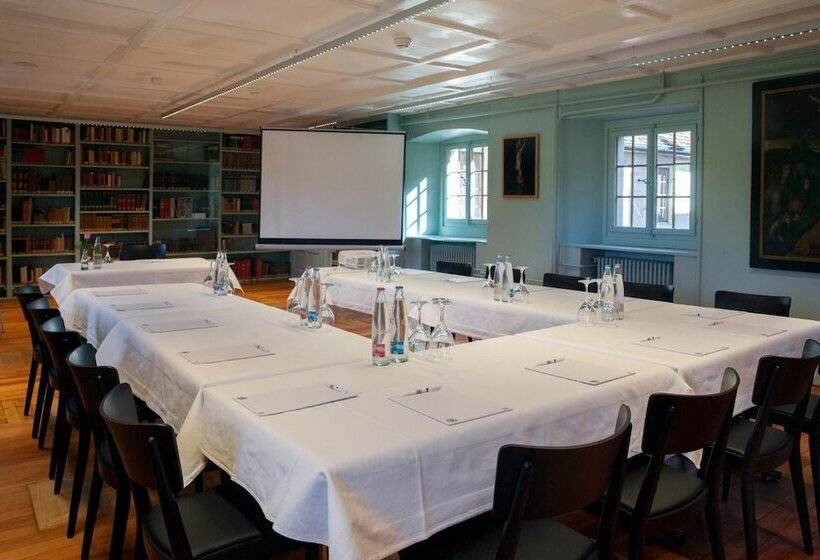 레지던스 Kloster Dornach / Basel