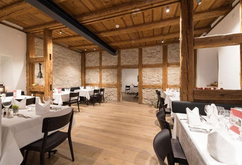 레지던스 Kloster Dornach / Basel