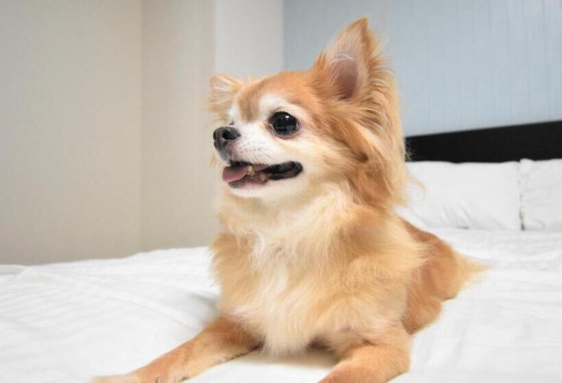 ホテル Regariain Vacation Stay 85009