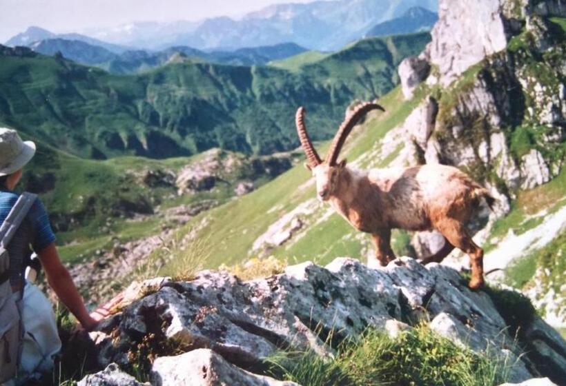 Пансион Atelier Des Sapins Blancs