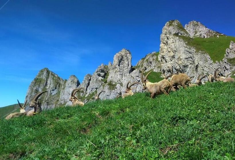 Пансион Atelier Des Sapins Blancs