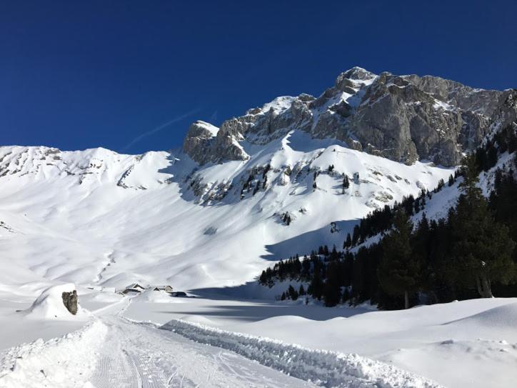 Пансион Atelier Des Sapins Blancs