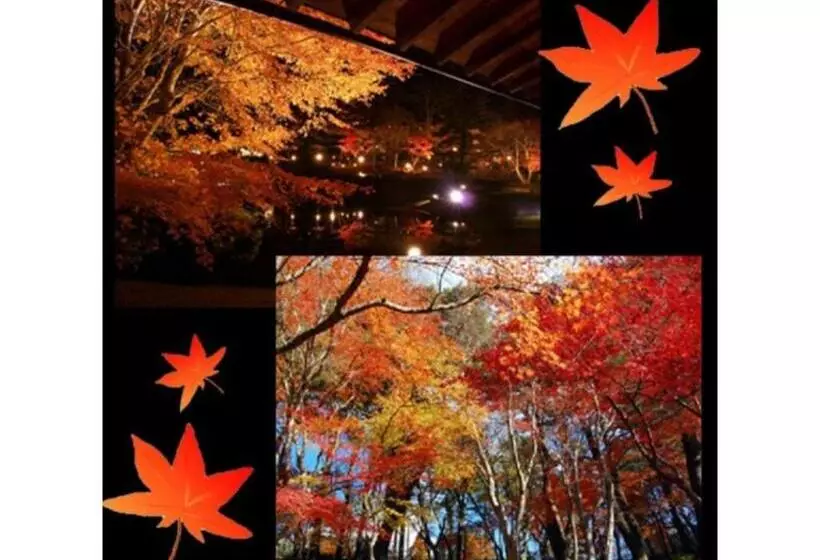 Majatalo Tokinosumika Hotel Olive No Ki   Vacation Stay 83622