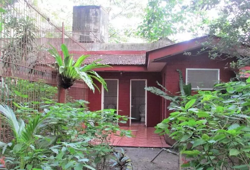 ペンション Felipa Beach Residence  Jasmine