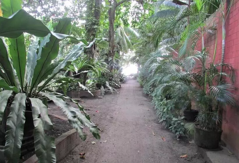 ペンション Felipa Beach Residence  Jasmine