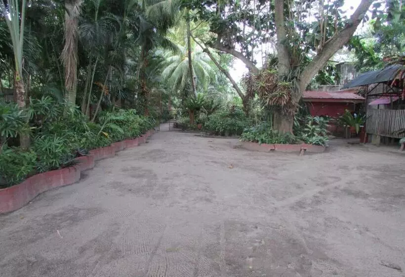 ペンション Felipa Beach Residence  Jasmine