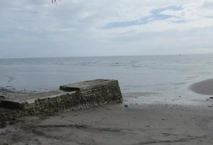 ペンション Felipa Beach Residence  Jasmine