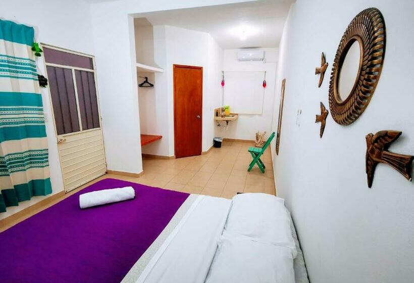 بنسيون Terraza 5