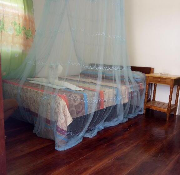 Общежитие Jeno Tourist Inn