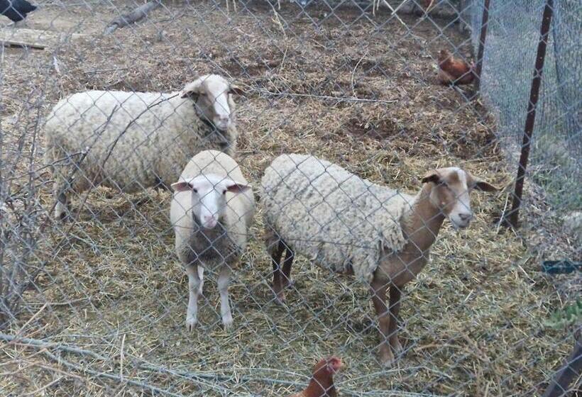 민박 Bastide Bellugue Maison D Hôtes Réseau Bienvenue à La Ferme à 3 Minutes De Lourmarin