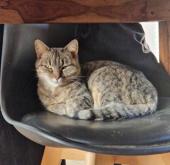 민박 Bastide Bellugue Maison D Hôtes Réseau Bienvenue à La Ferme à 3 Minutes De Lourmarin