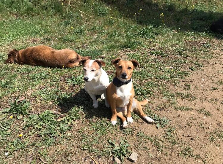 민박 Bastide Bellugue Maison D Hôtes Réseau Bienvenue à La Ferme à 3 Minutes De Lourmarin