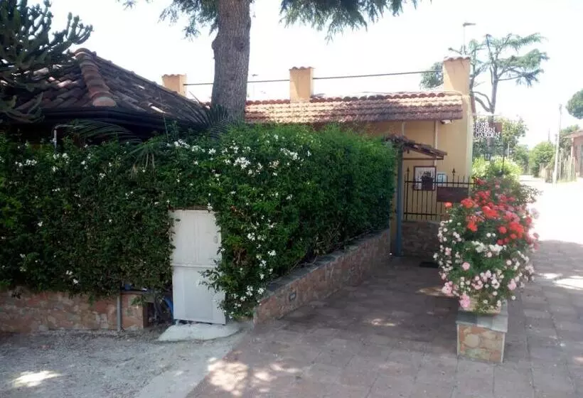 ベッドアンドブレックファースト Green Garden