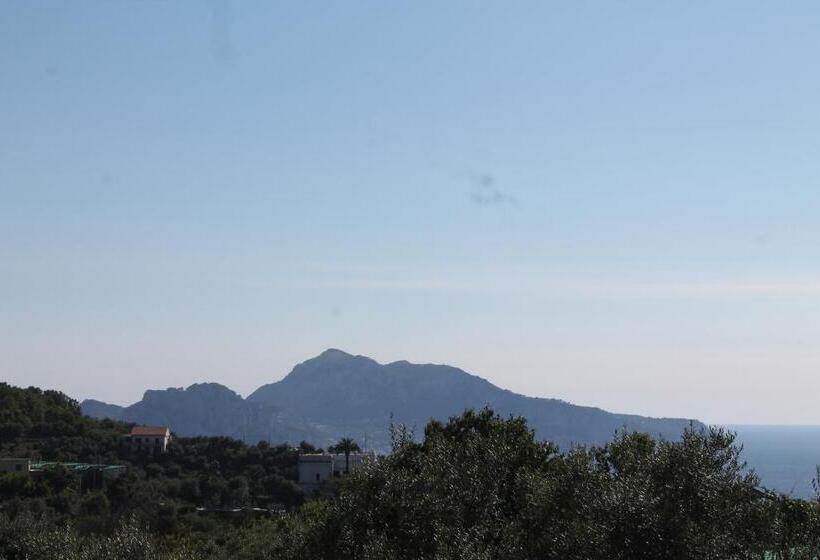 مبيت وإفطار Sunset House